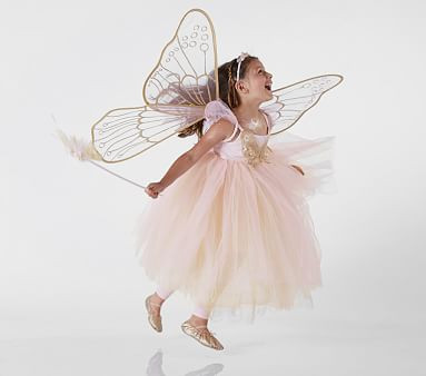 Pottery Barn Kids (PBK) - October 2017 - Pink Butterfly Fairy Toddler Costume, 3T Pottery Barn Kids (PBK) - October 2017 - Pink Butterfly Fairy Toddler Costume, 3T