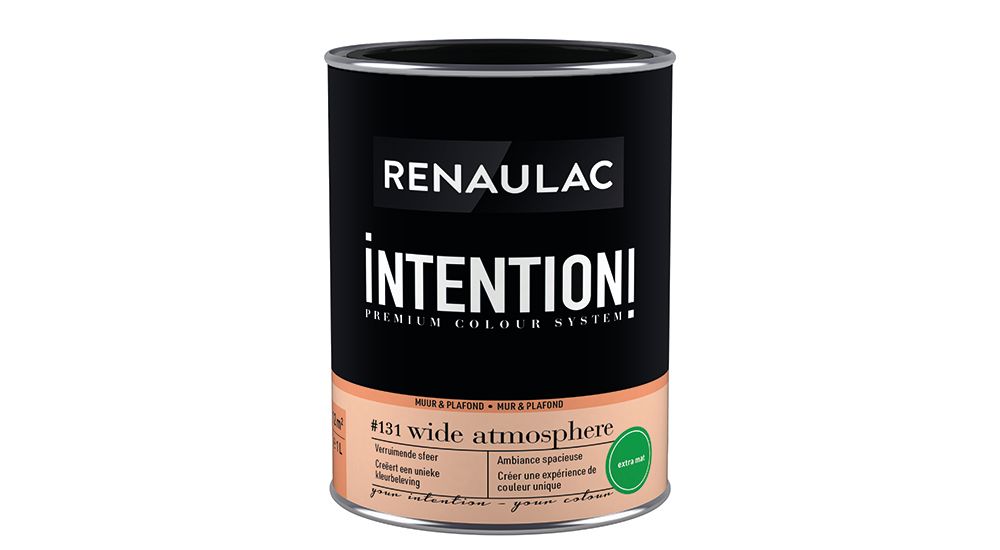 Peinture murale Renaulac Intention Mur & plafond wide atmosphere extra mat 1L