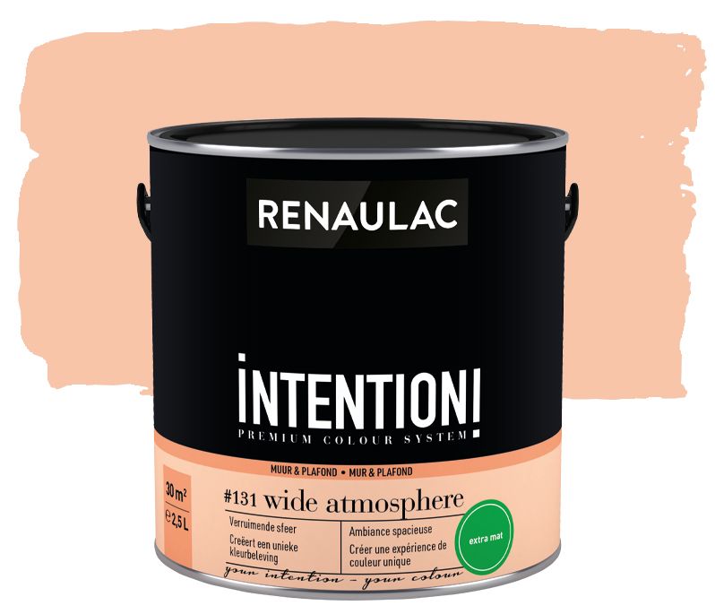 Peinture murale Renaulac Intention Mur & plafond wide atmosphere extra mat 2,5L
