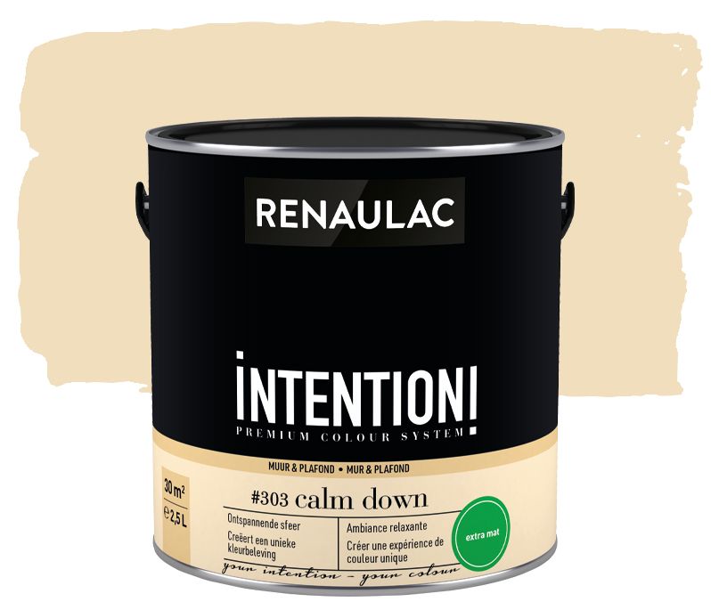 Peinture murale Renaulac Intention Mur & plafond calm down extra mat 2,5L