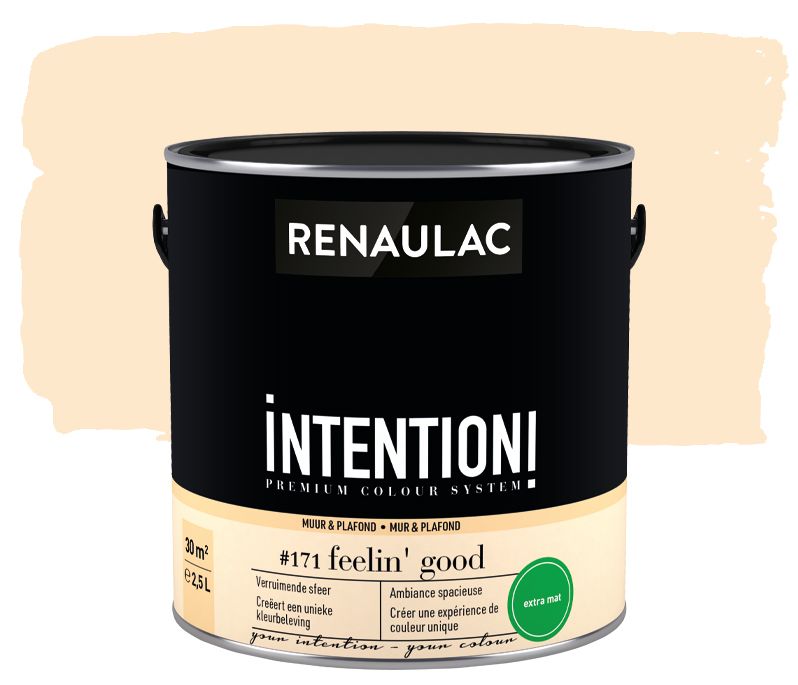 Peinture murale Renaulac Intention Mur & plafond feelin' good extra mat 2,5L