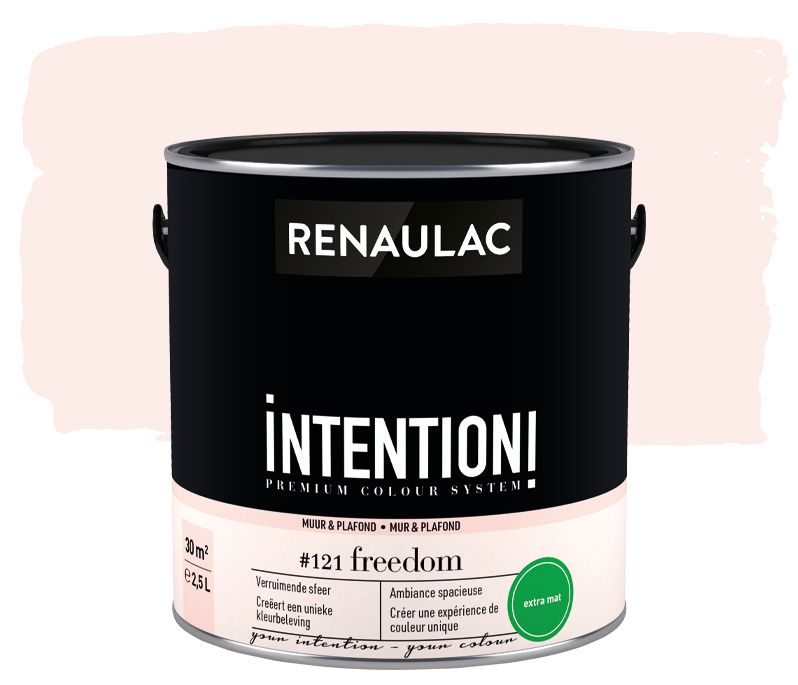 Peinture murale Renaulac Intention Mur & plafond freedom extra mat 2,5L