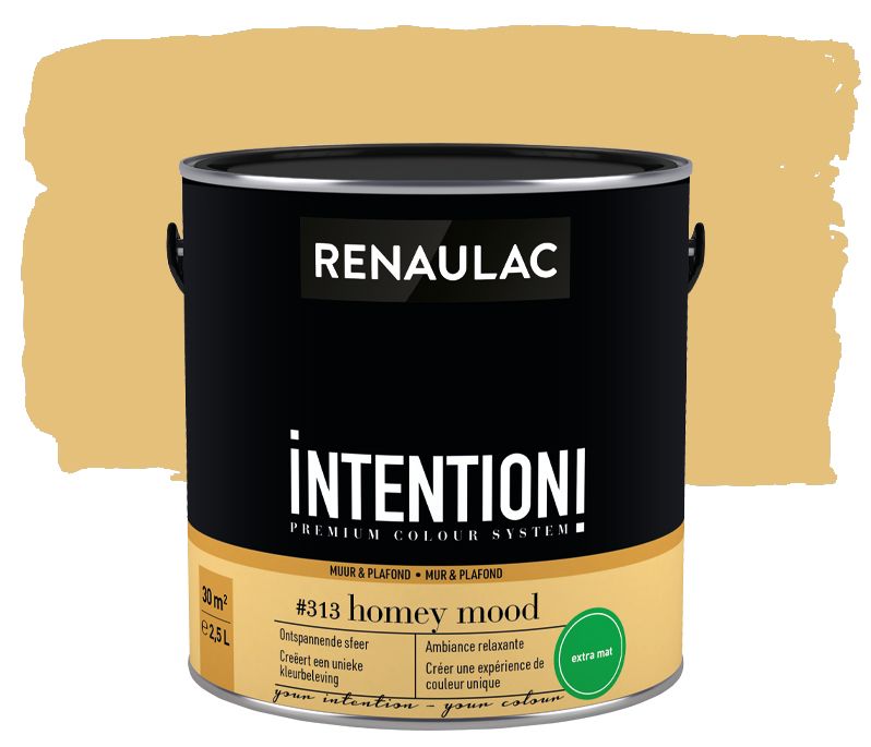 Peinture murale Renaulac Intention Mur & plafond homey mood extra mat 2,5L