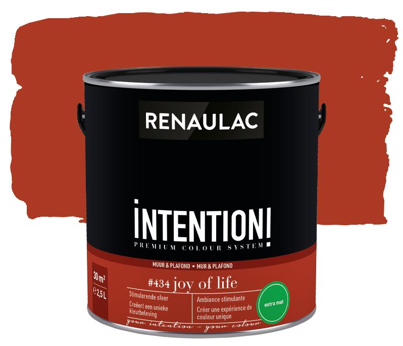 Peinture murale Renaulac Intention Mur & plafond joy of life extra mat 2,5L