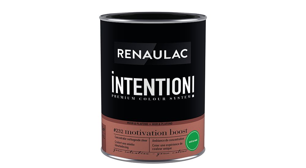 Peinture murale Renaulac Intention Mur & plafond motivation boost extra mat 1L
