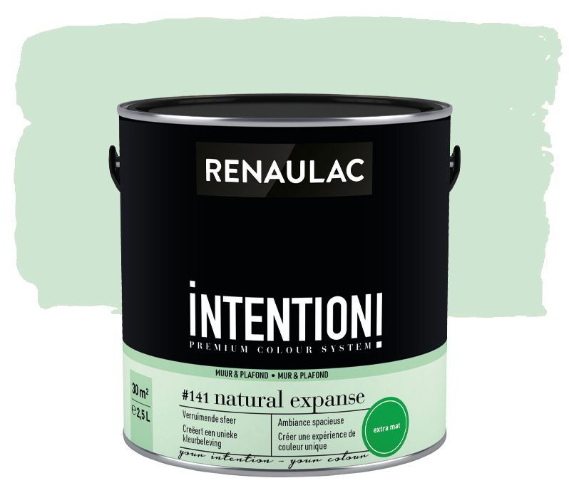 Peinture murale Renaulac Intention Mur & plafond natural expanse extra mat 2,5L