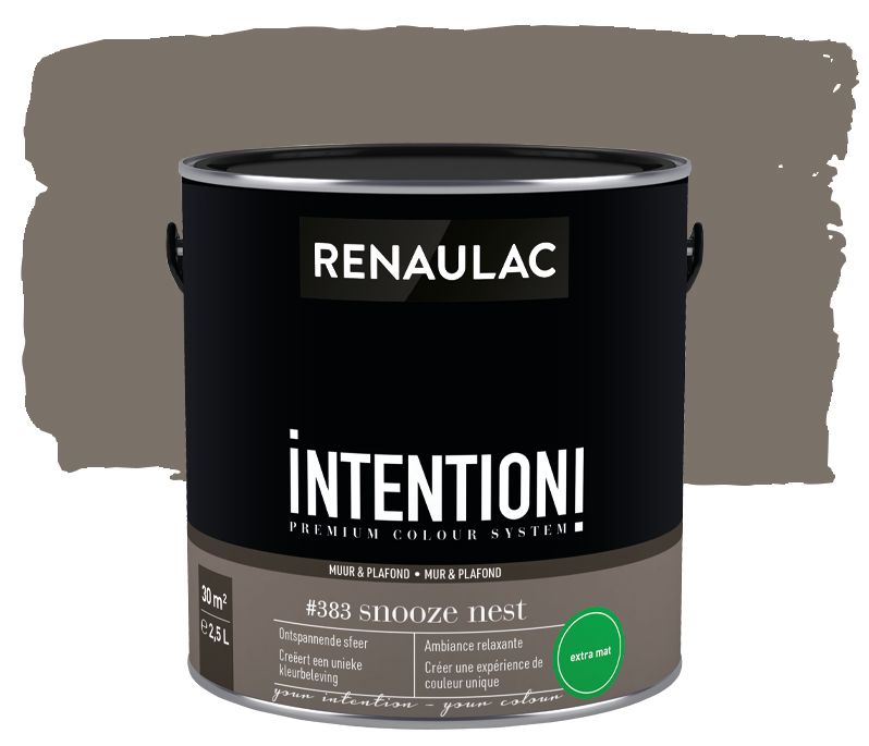 Peinture murale Renaulac Intention Mur & plafond snooze nest extra mat 2,5L