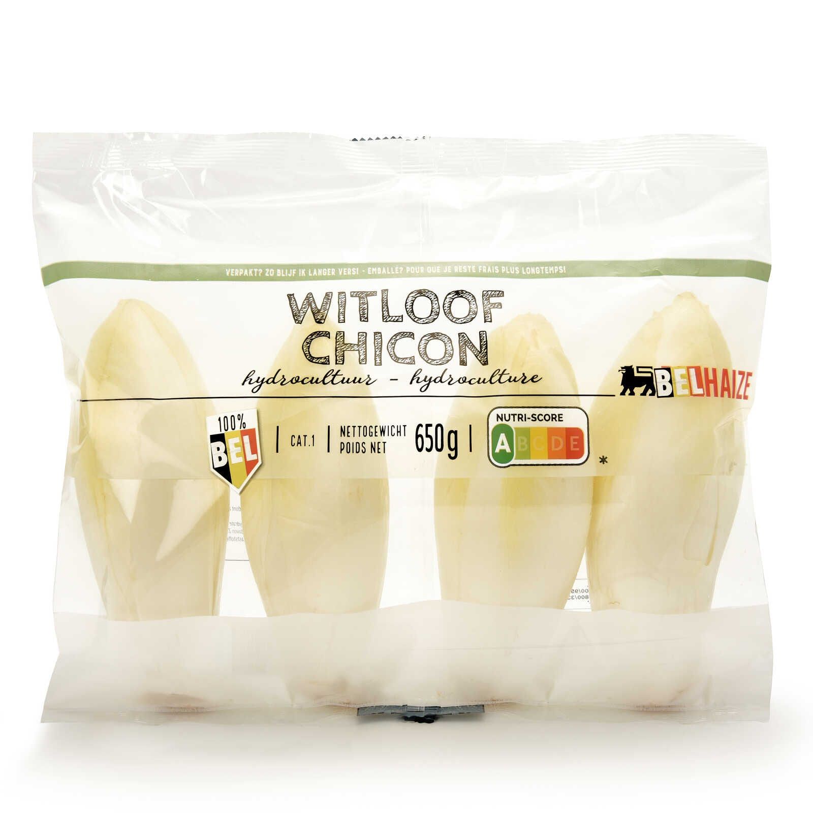 Witloof | Hydrocultuur