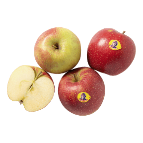 Pommes Reinette Rosine
