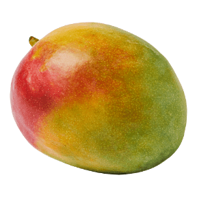 Mangue