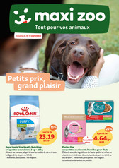 Promotion de la semaine 37