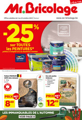 Promotion Mr bricolage 17