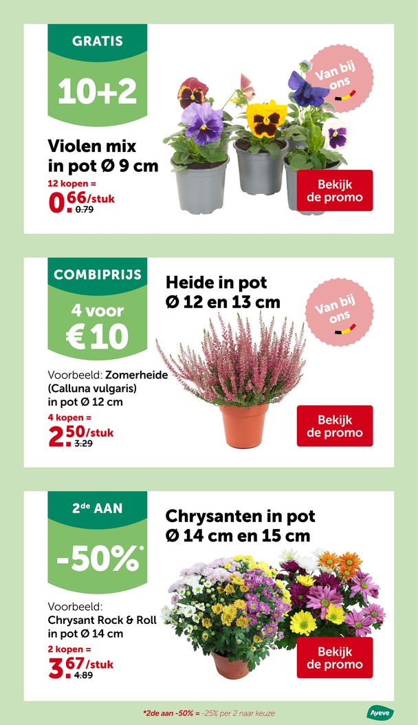 Pagina 29