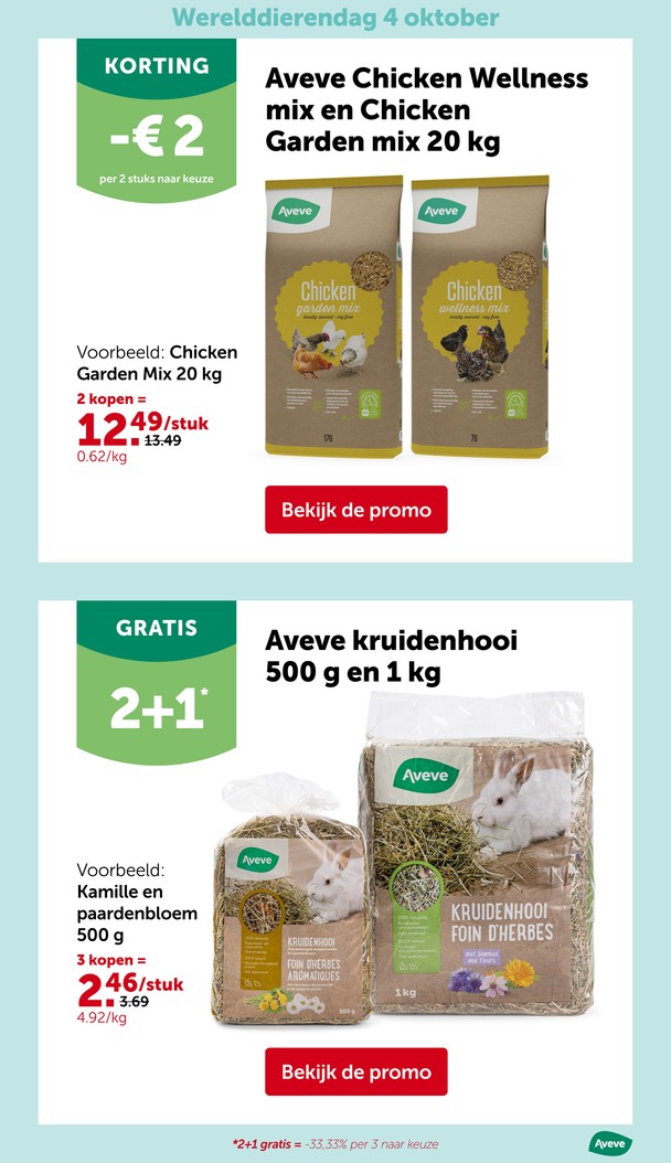 Pagina 19